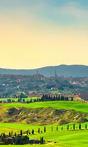 Smartification agricultural